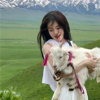 绿箭侠第六季 海报