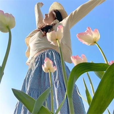 锁麟囊 海报